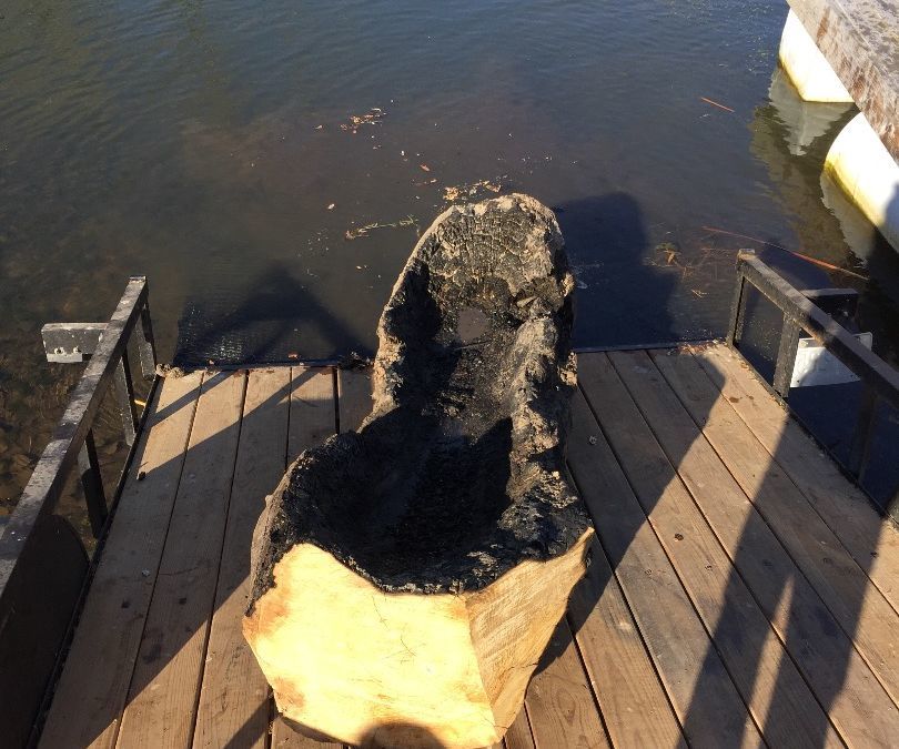FAIL Making a Canoe With Fire