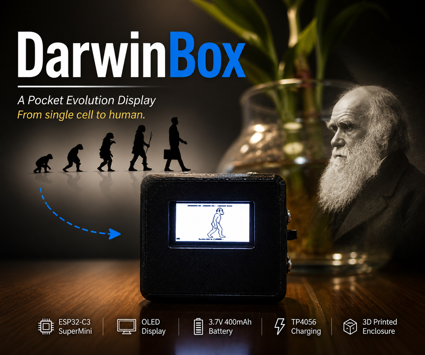 DarwinBox: a Pocket Human Evolution Display Using ESP32-C3