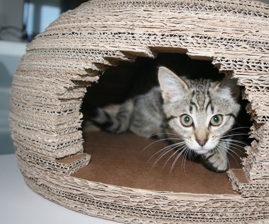 Cardboard Cat Igloo House