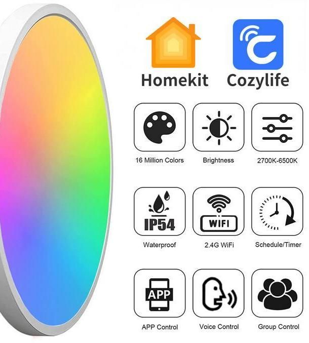 Smart Led Ceiling Light for UK