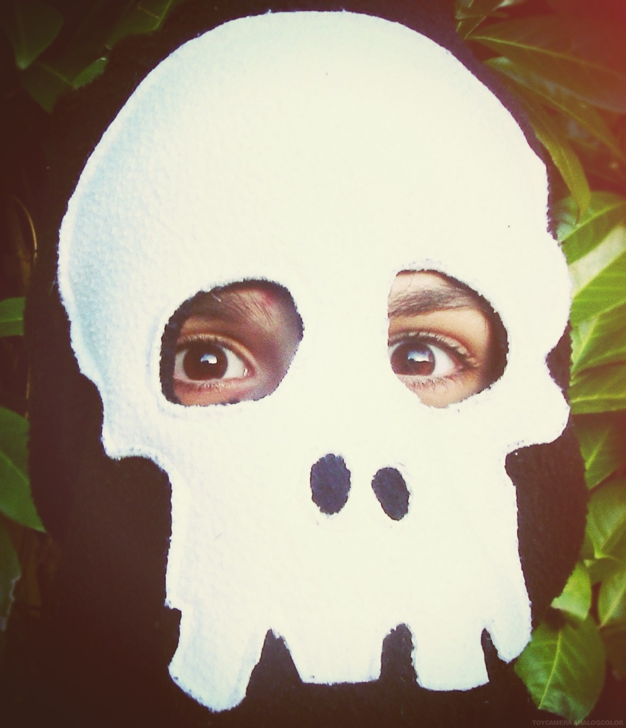 A Lovely Warm Skull Face Snood.