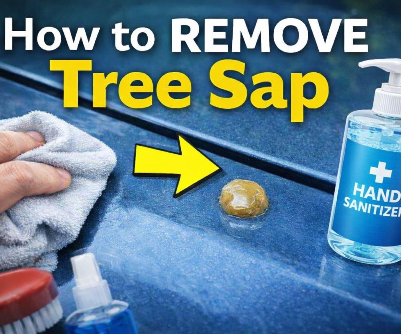 How to Remove Tree Sap