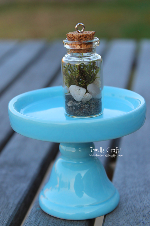 terrarium in a bottle sheet moss pebbles shells lucky charm plant necklace easy diy gift idea (7).JPG