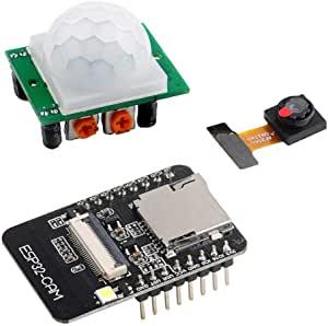 Motion Triggers Image Capture and Email