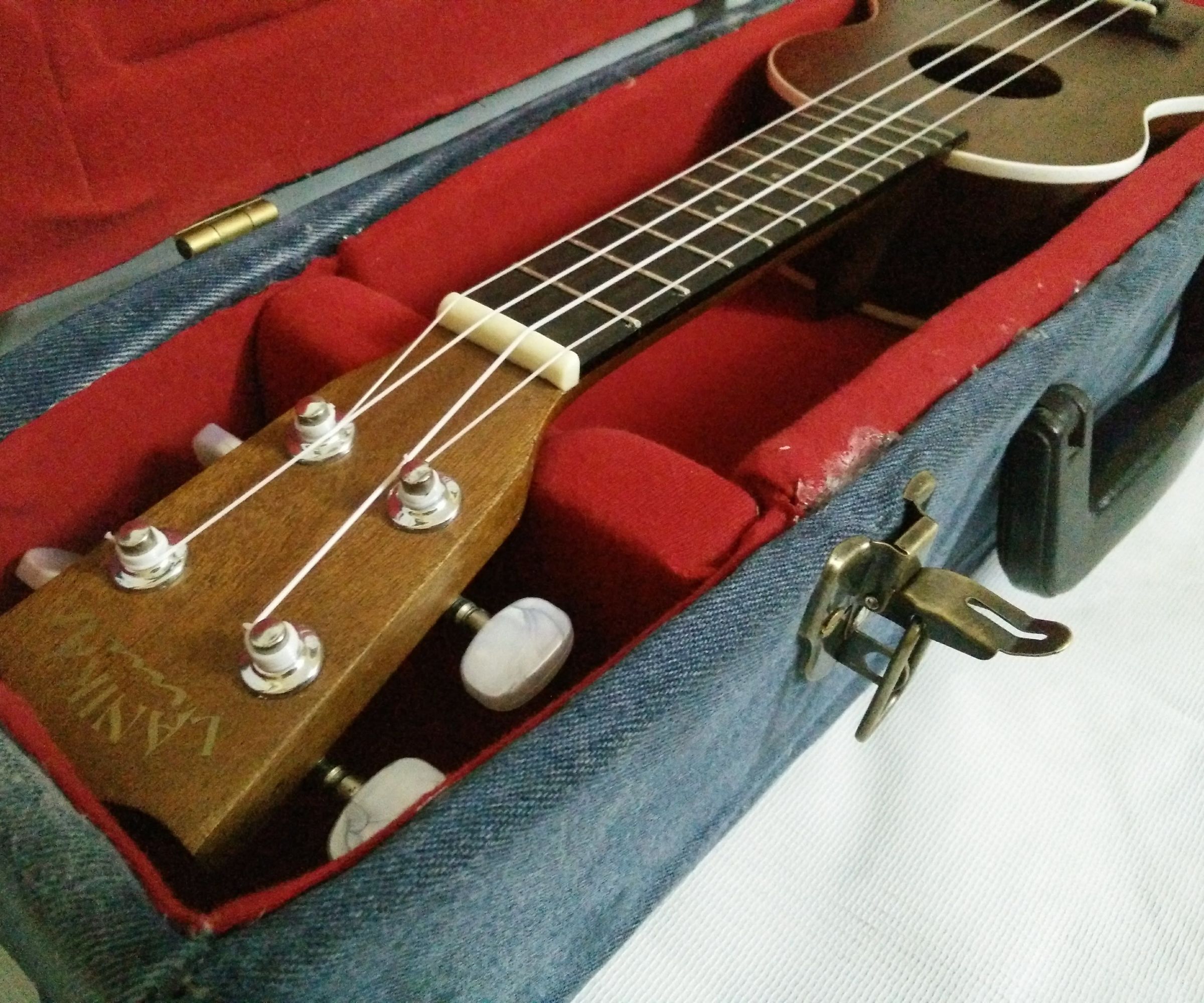 The Cardboard Ukulele Case