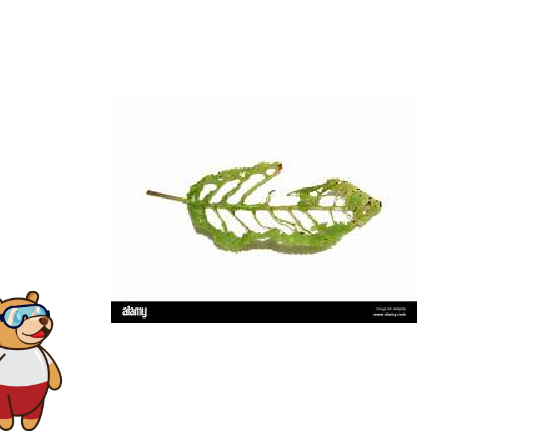 Plant Health Detection