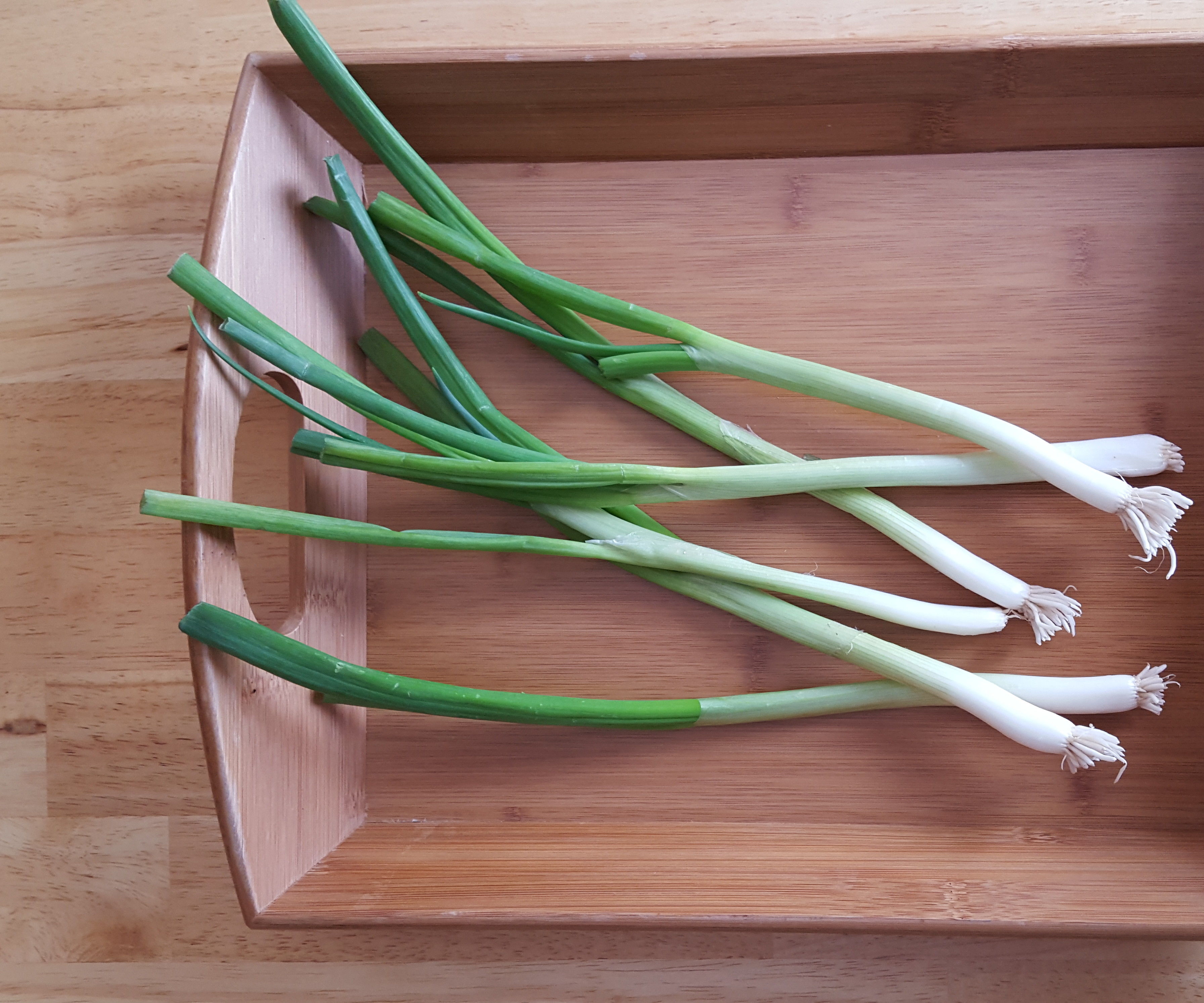 How to Regrow Green Onions