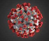 How to Stay Protected From the Coronavirus Disease (COVID-19)