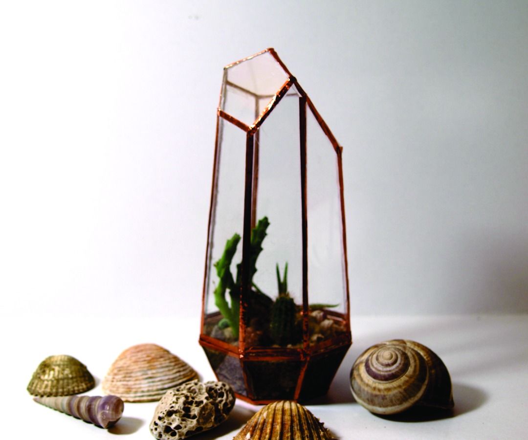 Geometric Crystal Terrarium Out of CD Cases