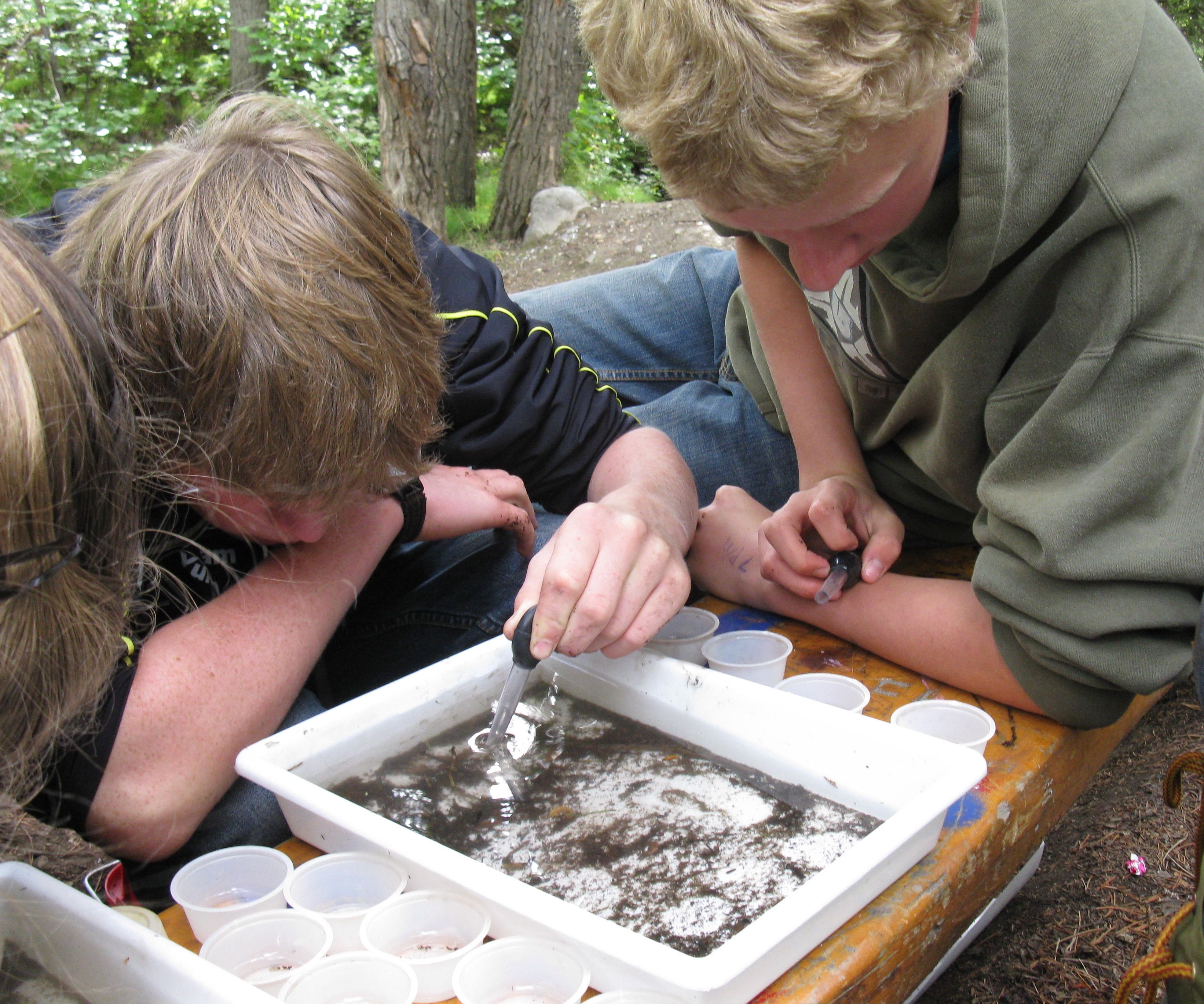 Sucker-Uppers for Collecting Aquatic Invertebrates