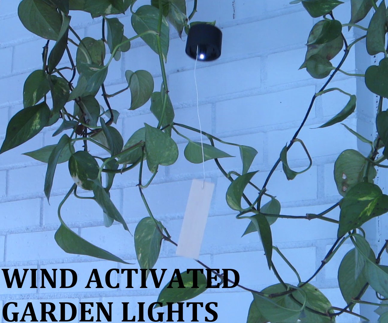 Wind Activated Garden Lights