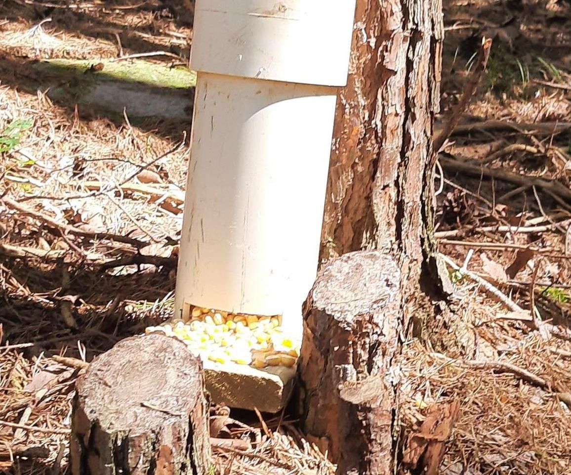 Gravity Deer Feeder