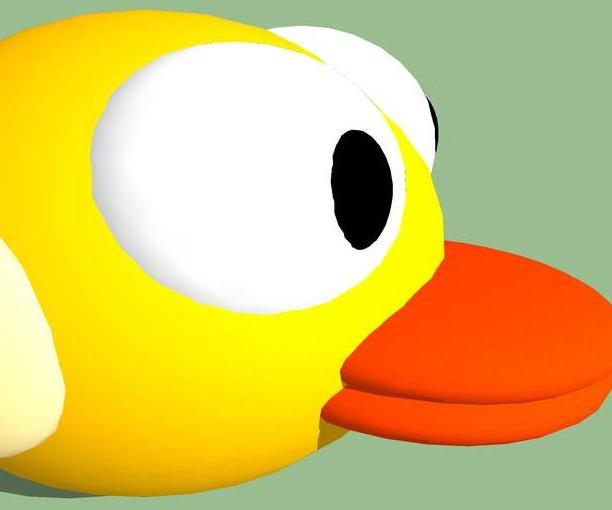 Bird