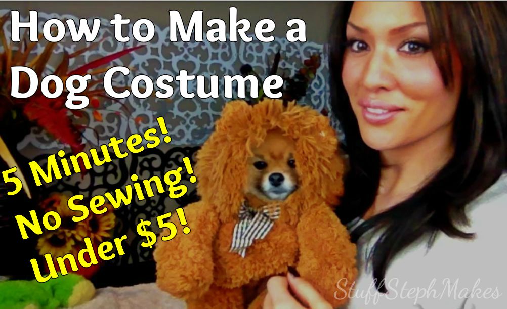 Super Easy *No Sew* Dog Costume!