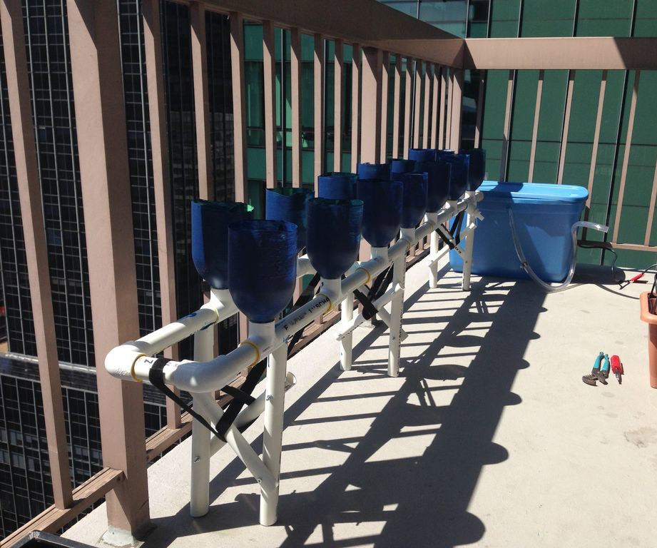 Urban Gardening - Balcony Hydroponics