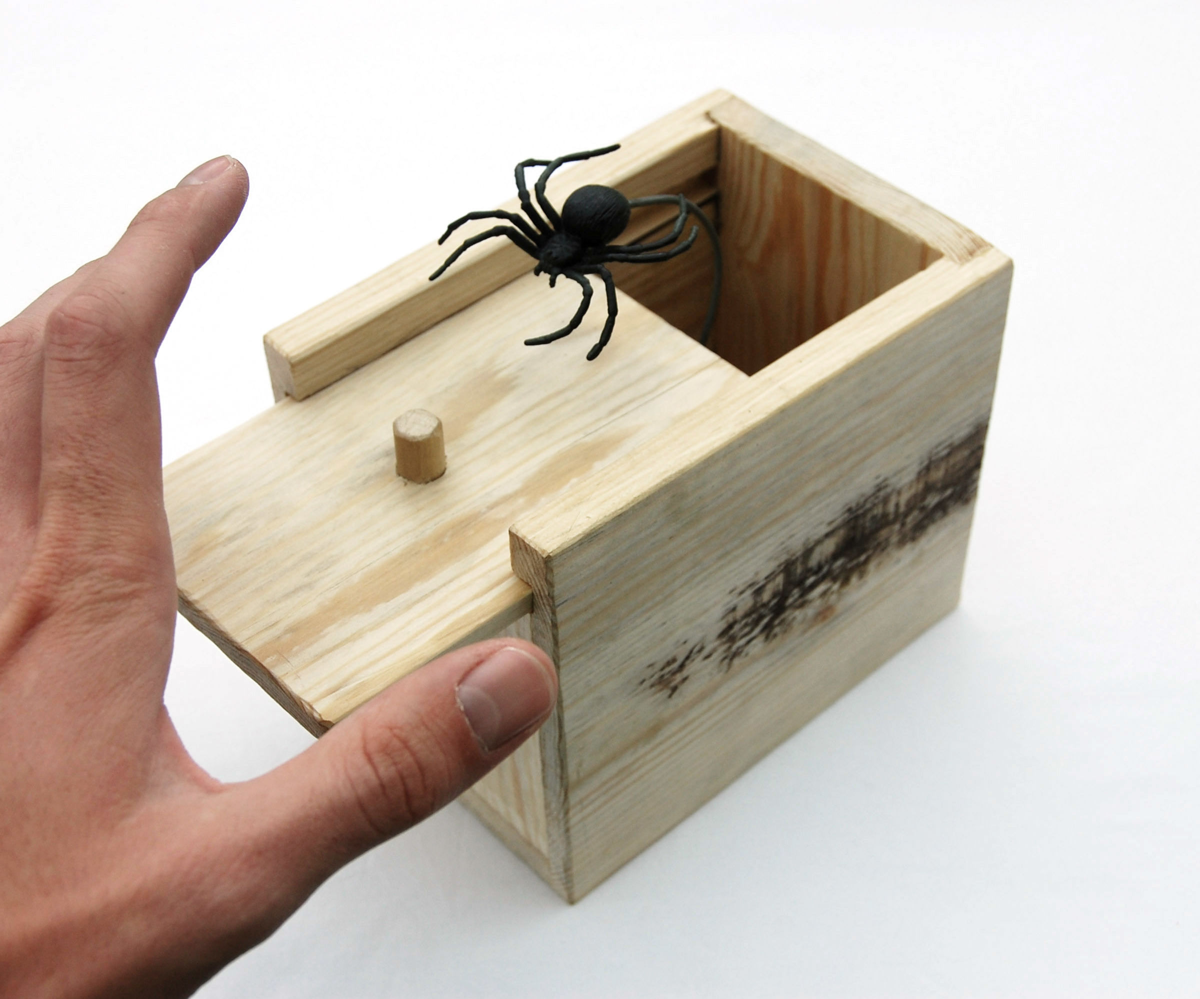 Spider Box