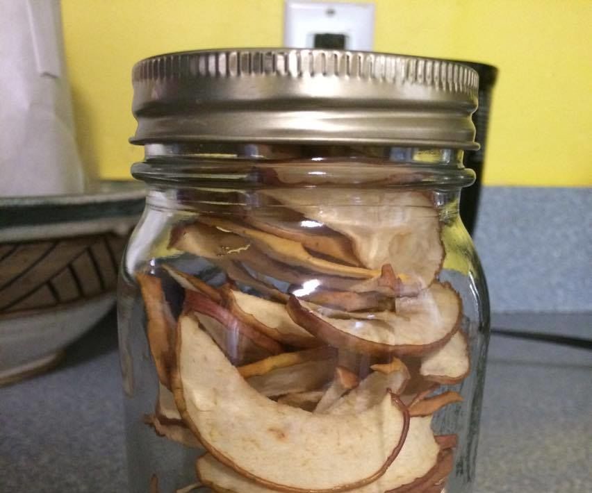 Dehydrating Apple Slices