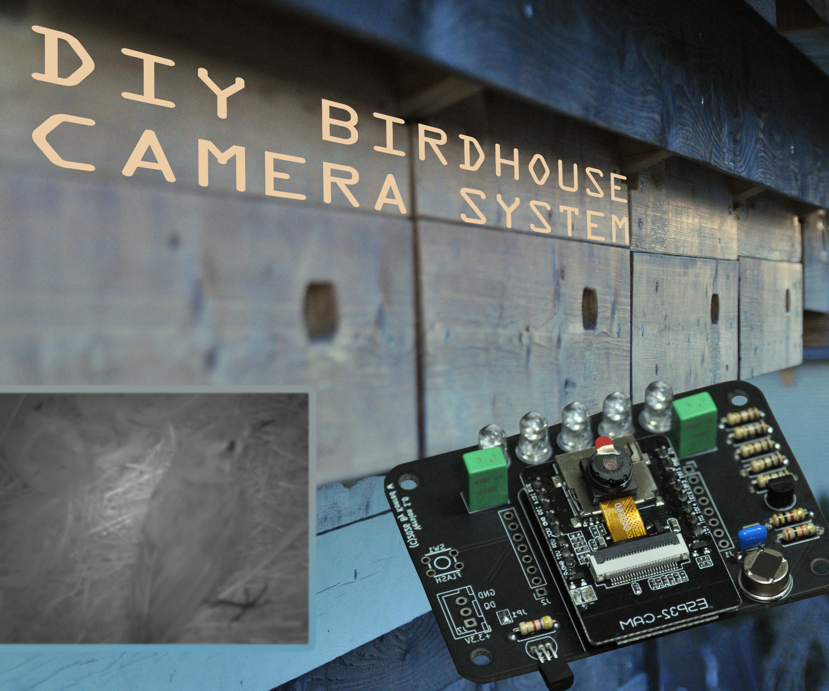 Flexible Birdhouse Camera System for Multiple Nests