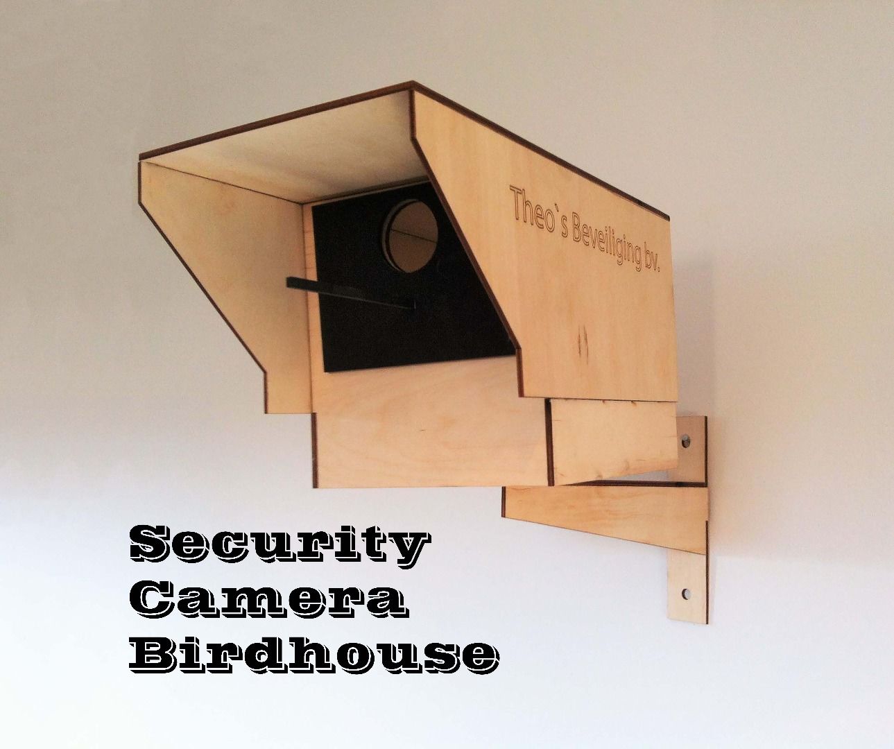 Security Camera Birdhouse