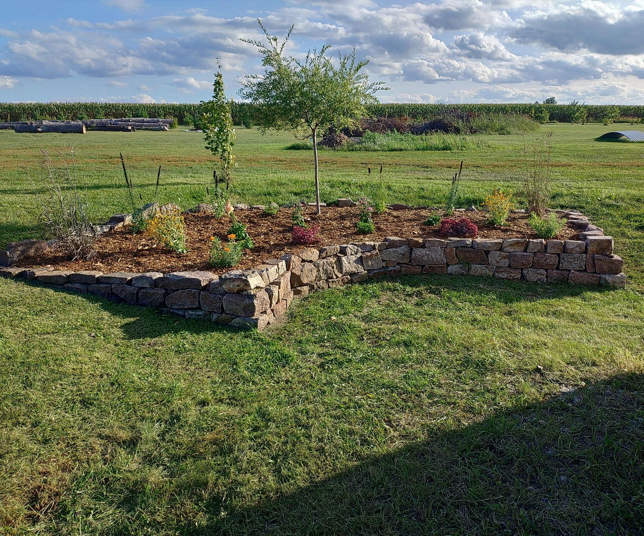 Rock Planter
