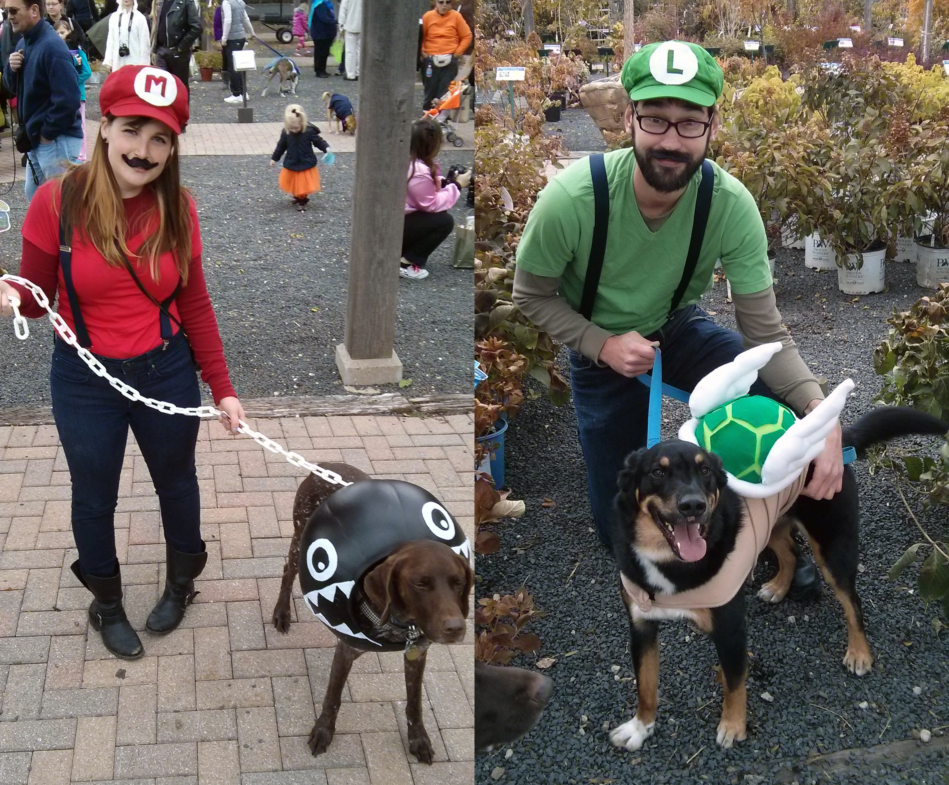 Mario Themed Costumes for Dogs and People