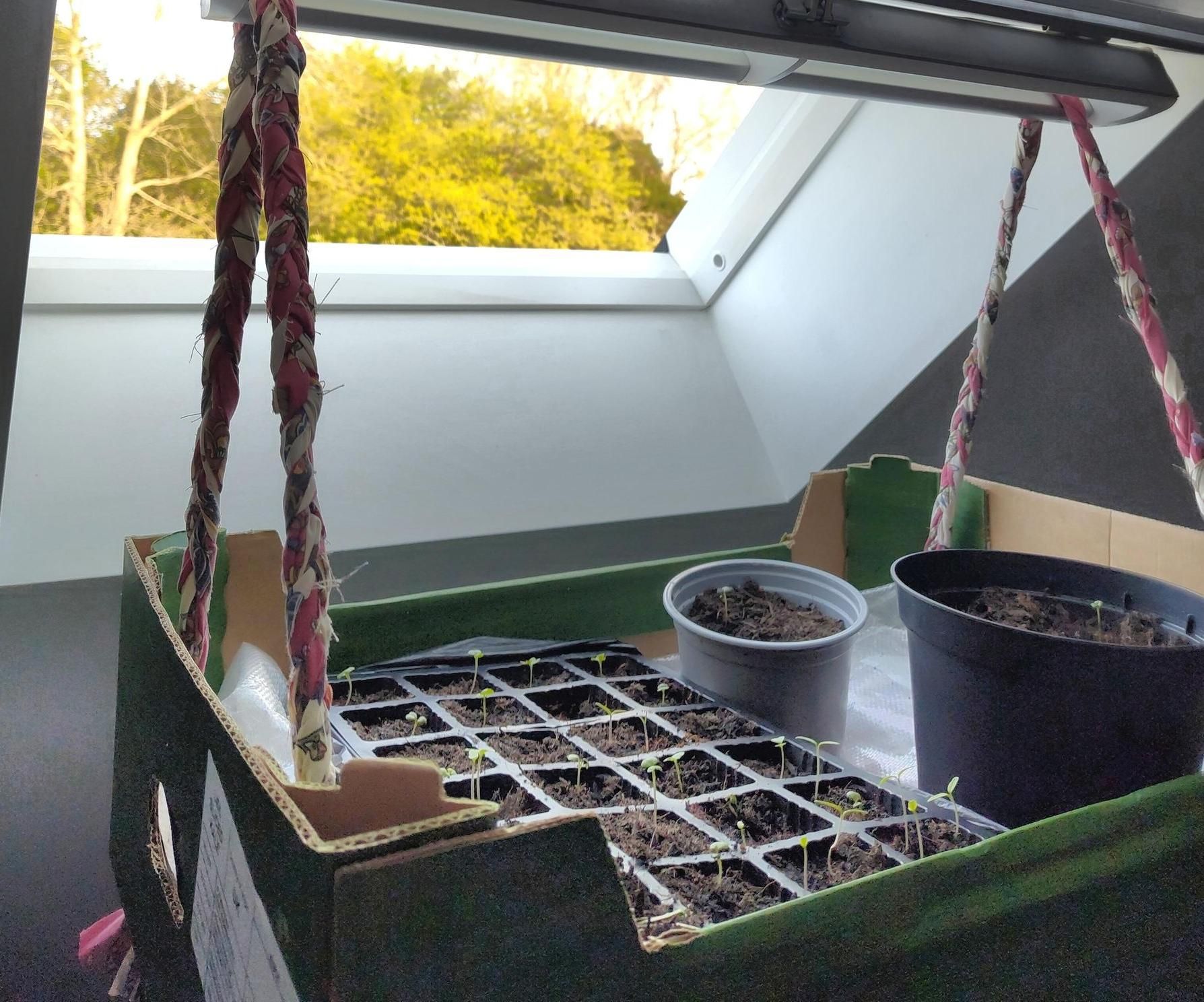 No Drill/Sew/Glue Basically Free Hanging Shelf