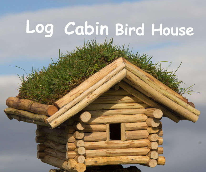 DIY Log Cabin Bird House