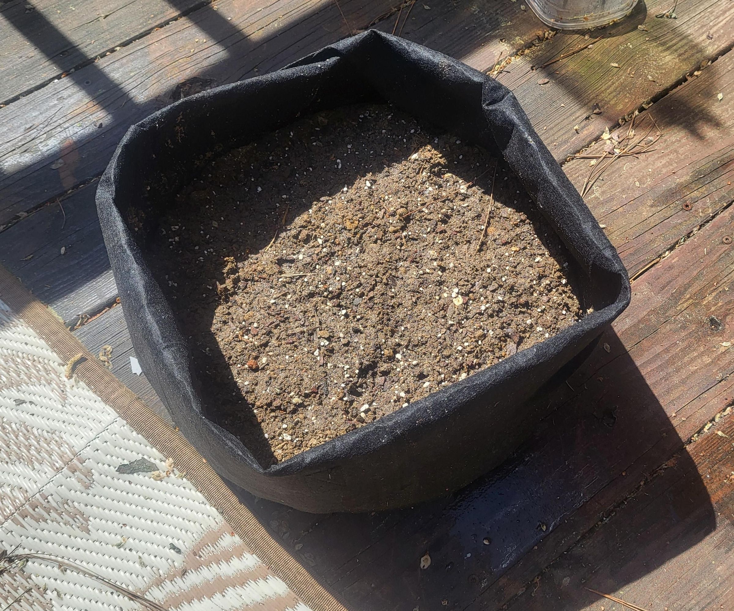 Growing Potatoes in a Grow Bag