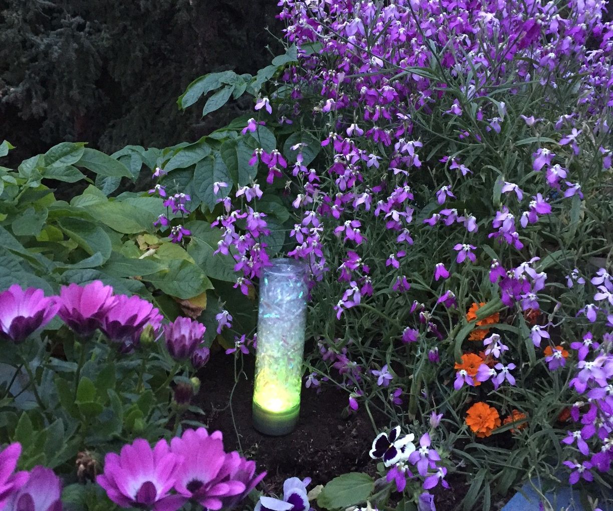 Indoor or Outdoor Mood Light