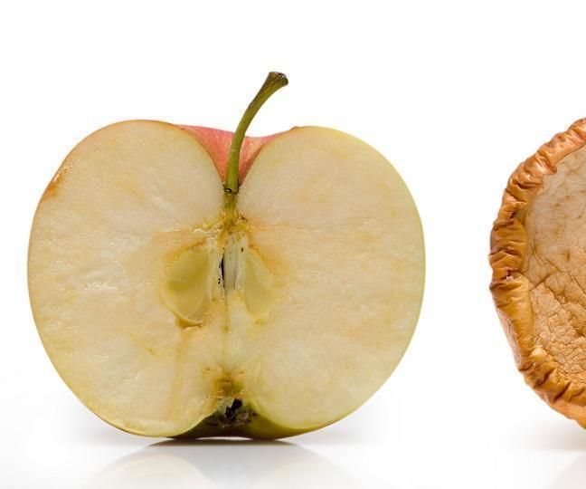 How Tempreture and Light, and Air Affect the Rotting of Food
