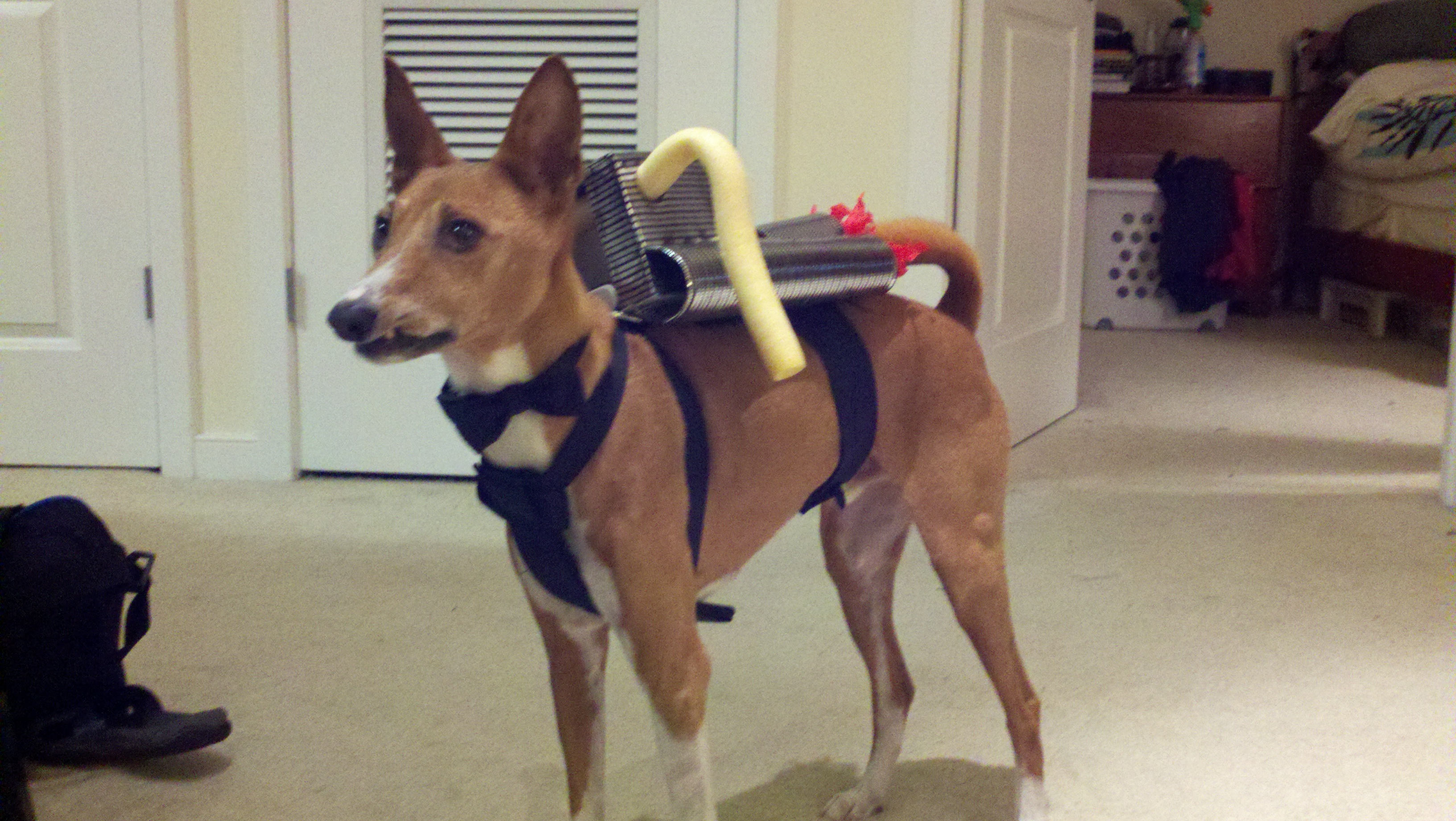 James Bond Dog Costume