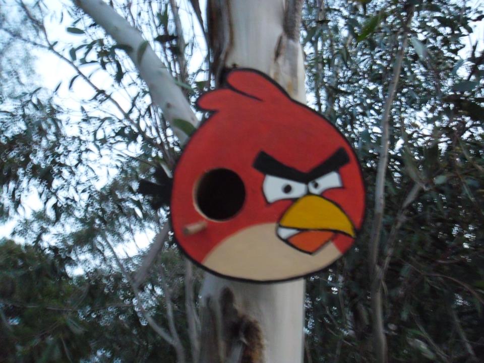 Build an Angry Bird Box