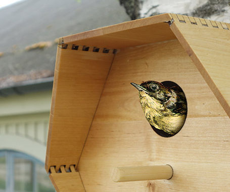 Building a Laser Cut Birdhouse