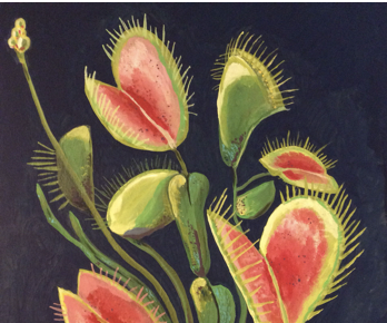 Do Plants Have Brains? 