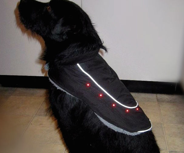 Kitronik Light Up Dog Coat