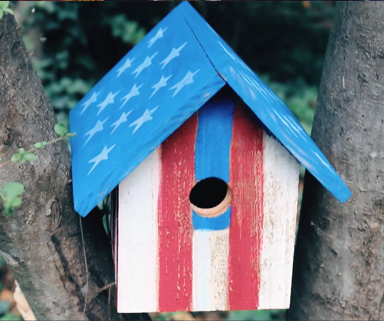 🪵 Americana Birdhouse for the Backyard (Simple DIY Build)