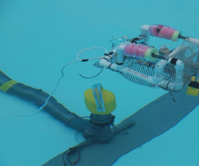 Build an Underwater Robot