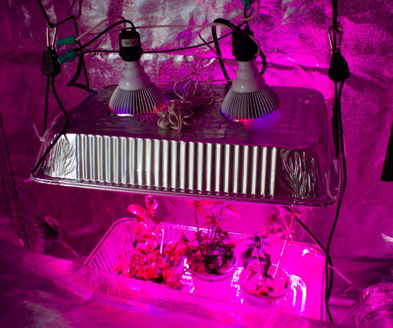 $78 Grow Light - Full-Spectrum, 22 Watts, No Heat