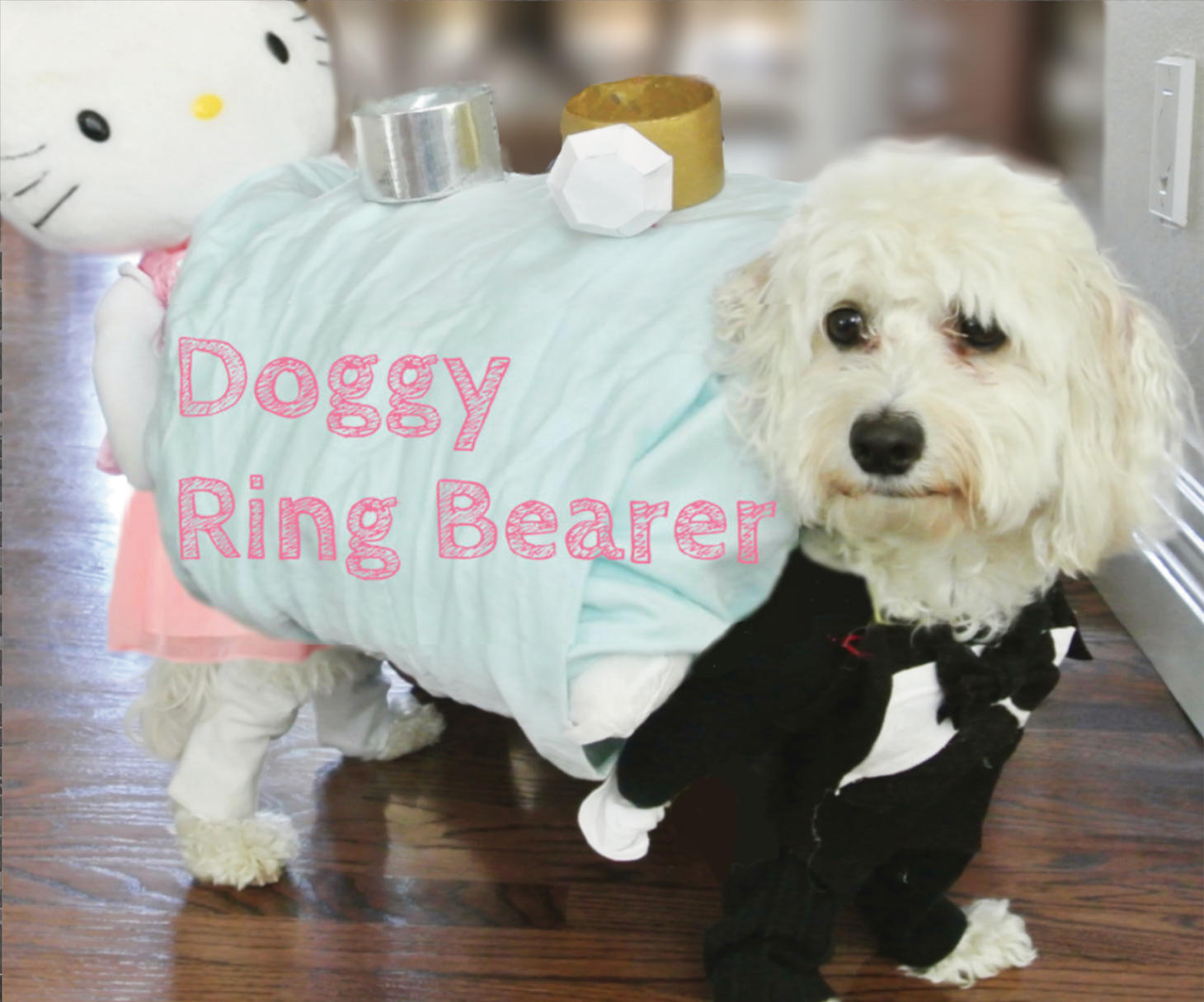 Ring Bearer Dog Illusion Costume