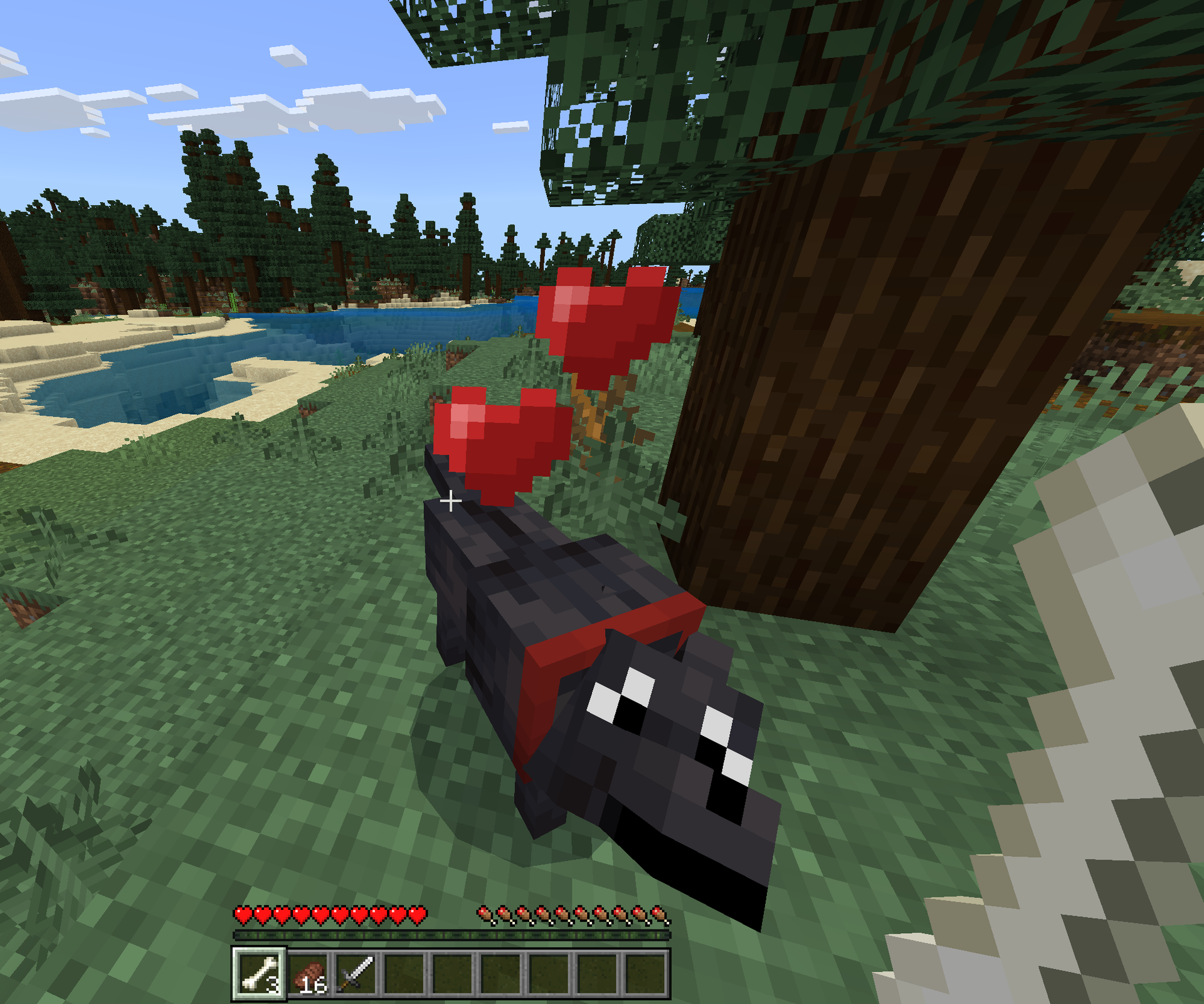 How to Tame a Minecraft Wolf
