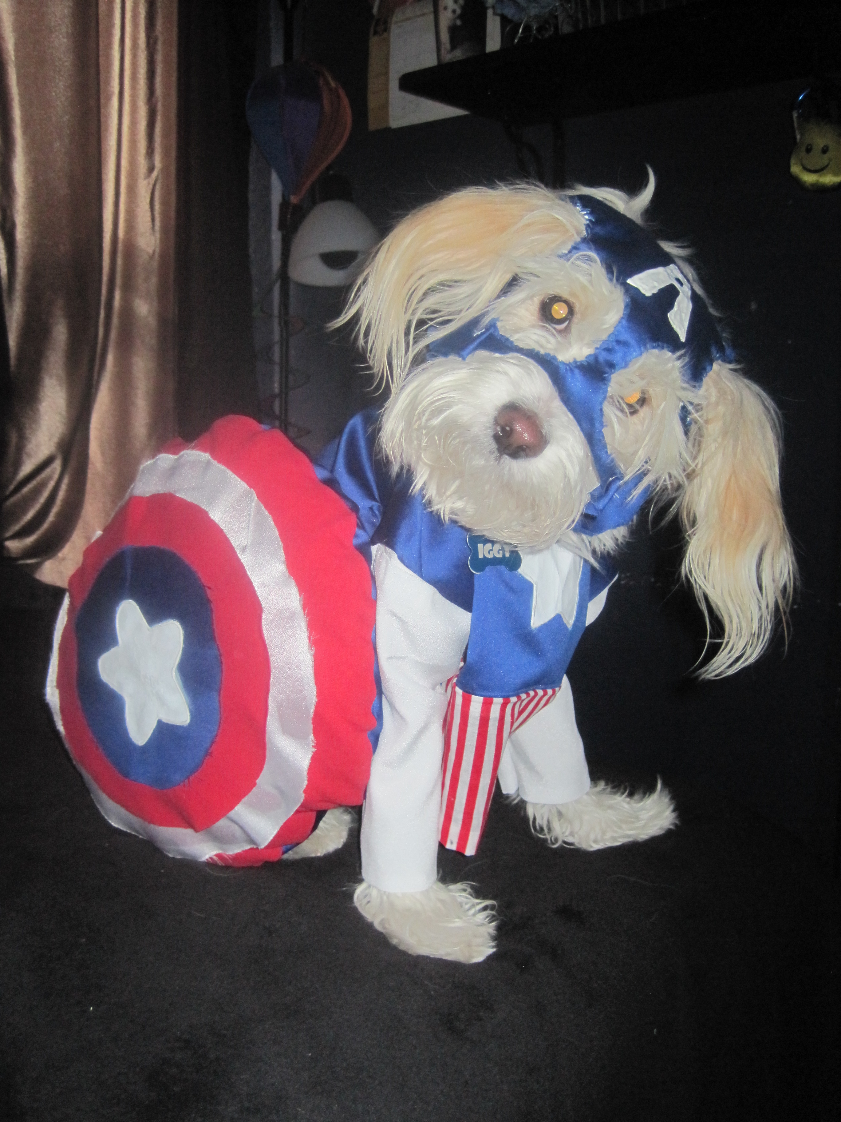 Iggy Wrigley As Captain America