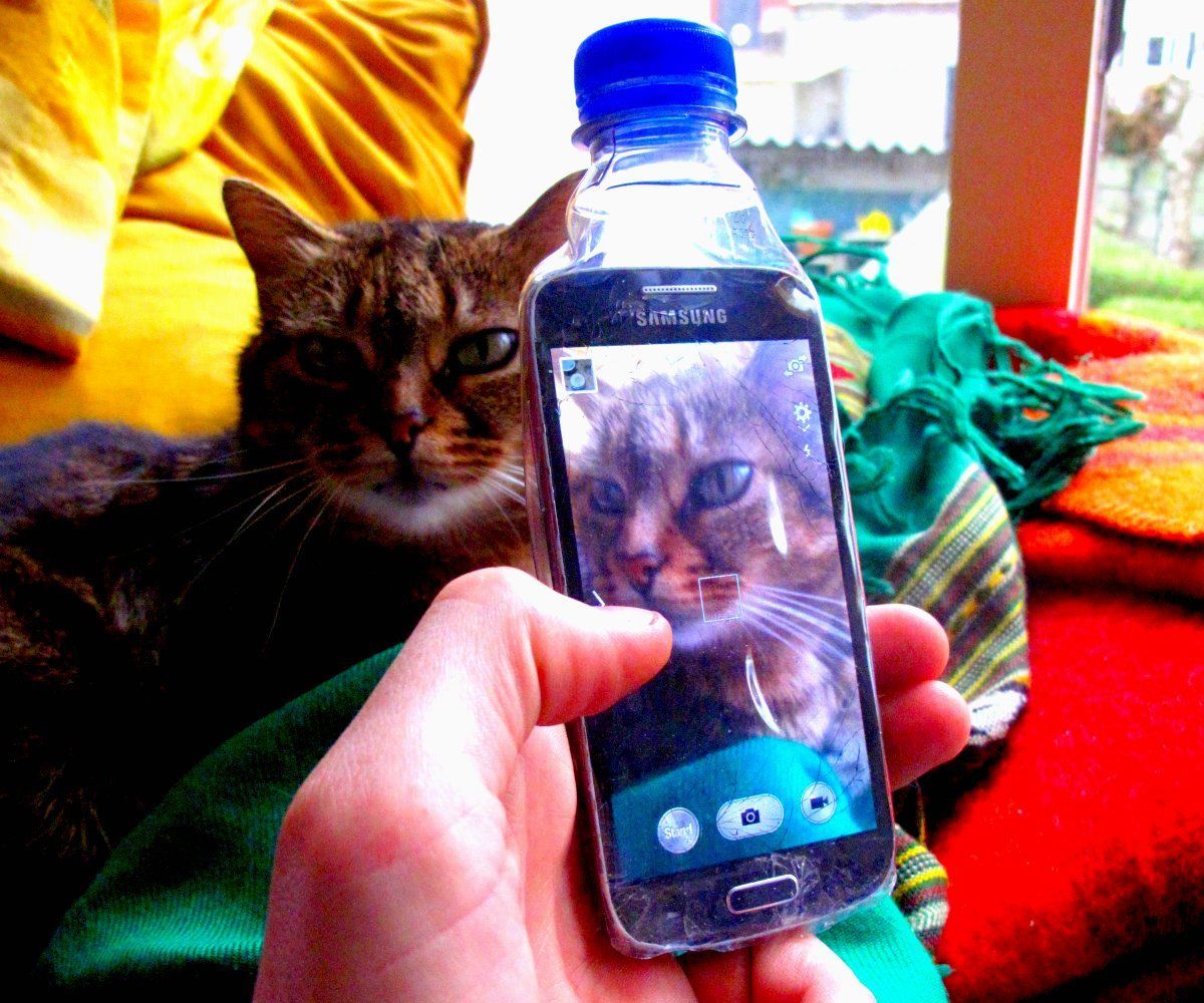 The Bottlephone:Trash Smartphone Cover