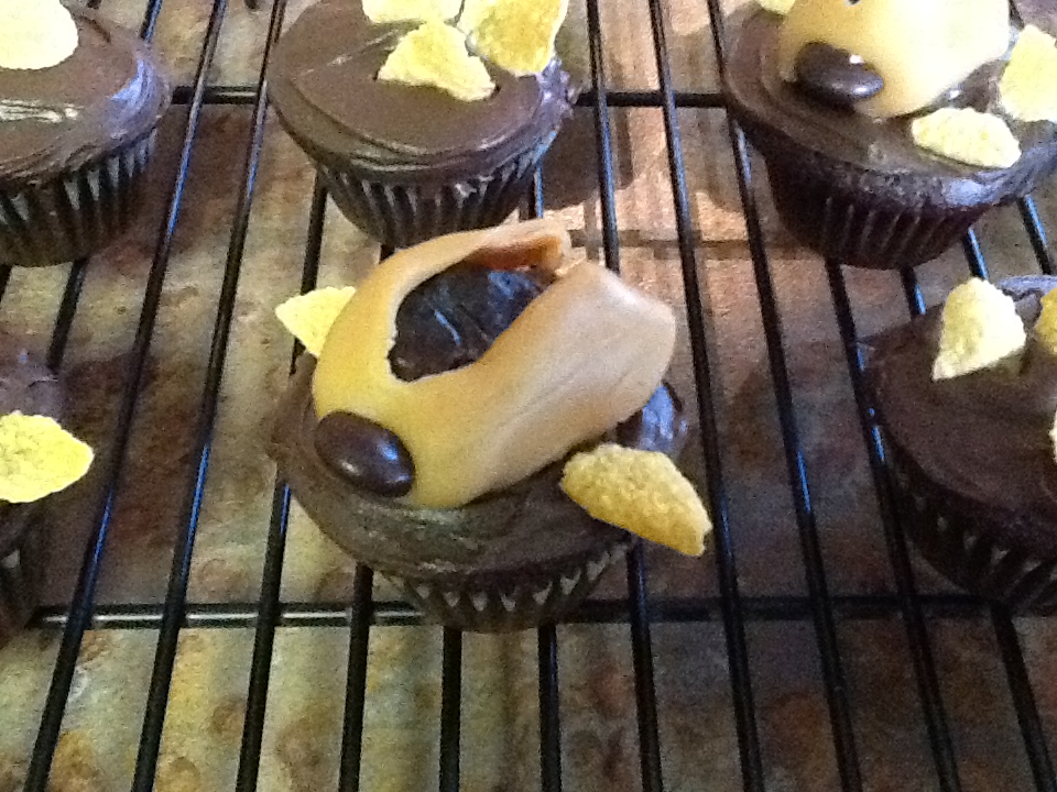 Cockroach Cupcakes