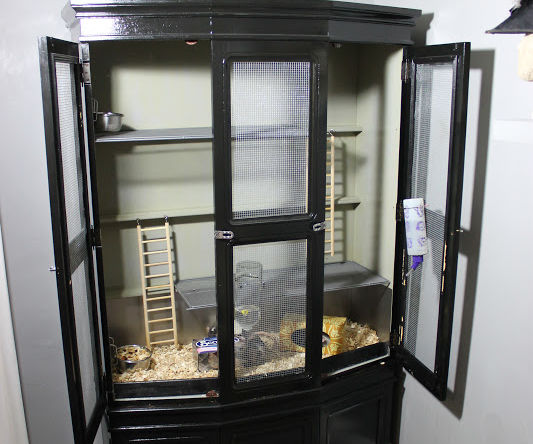 Rat Cabinet From a Dinning Room Hutch