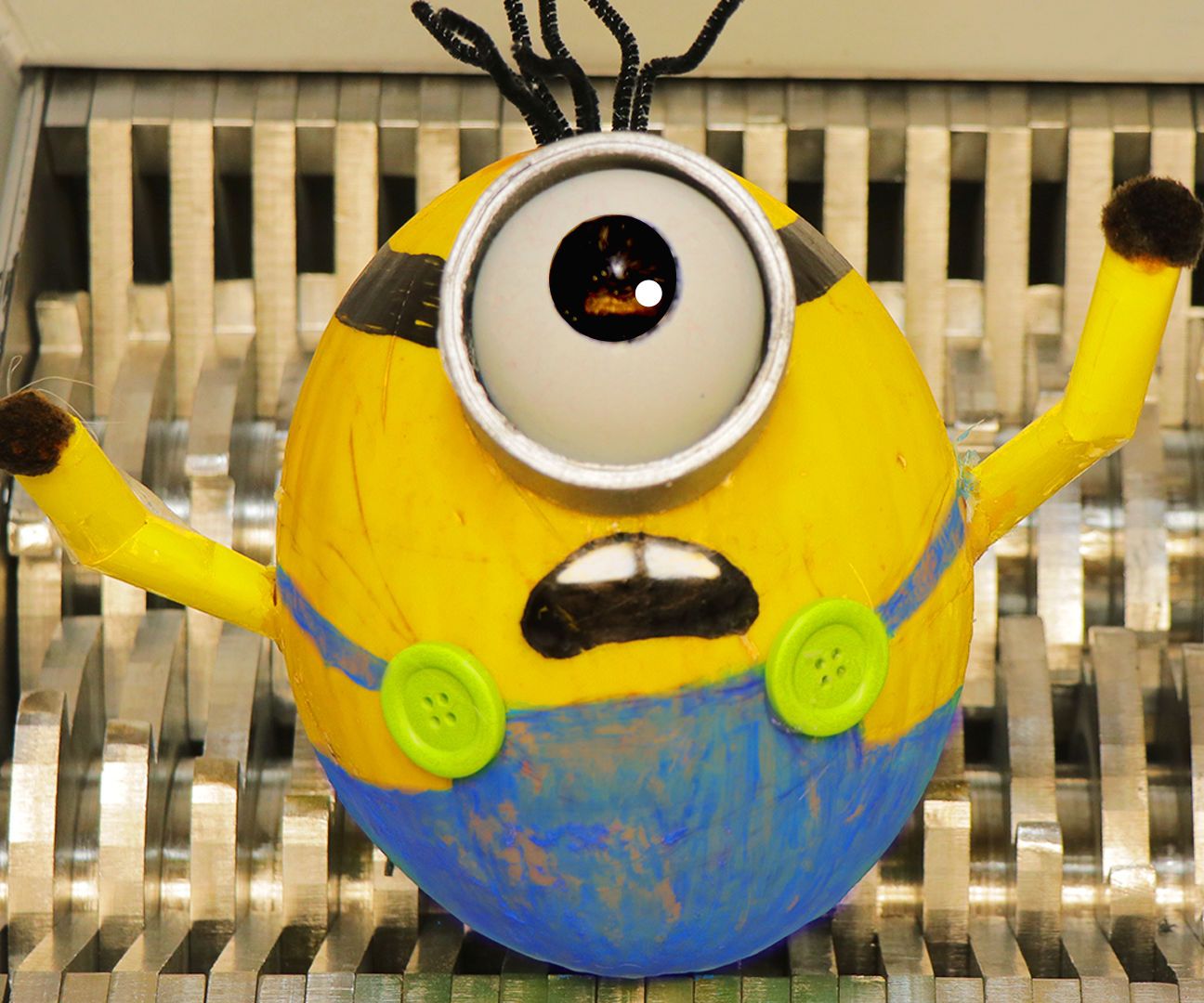 Shredding Minions & Shredding Other Stuff