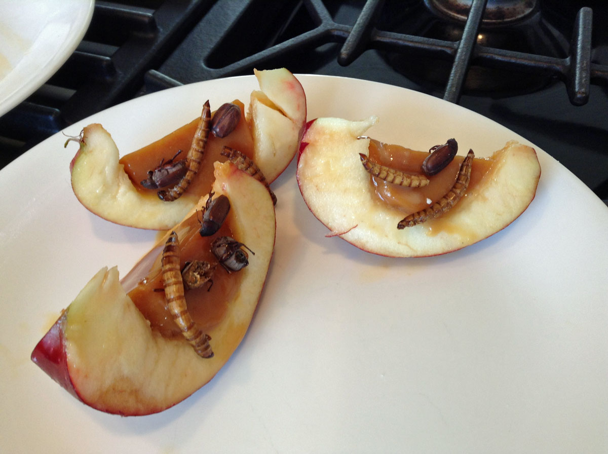 Salty Bug, Caramel Stuffed Apples