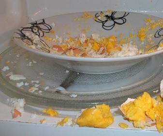 Egg in a Microwave