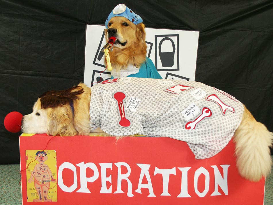 Goldens Play the Game of Operation