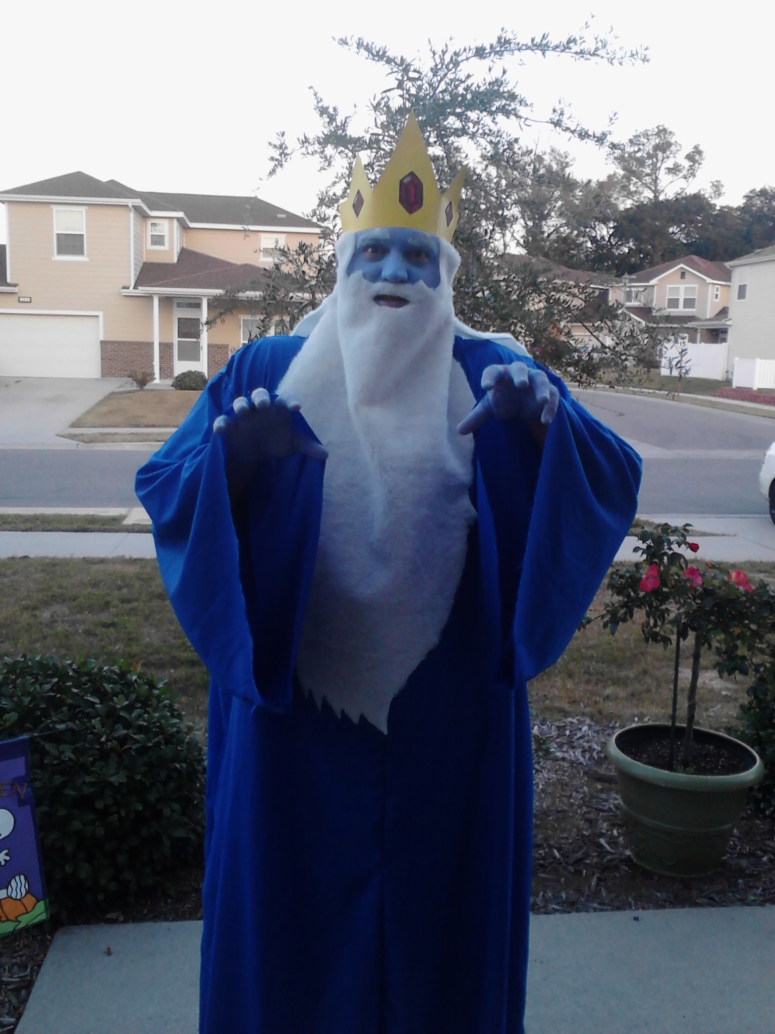 Ice King Costume