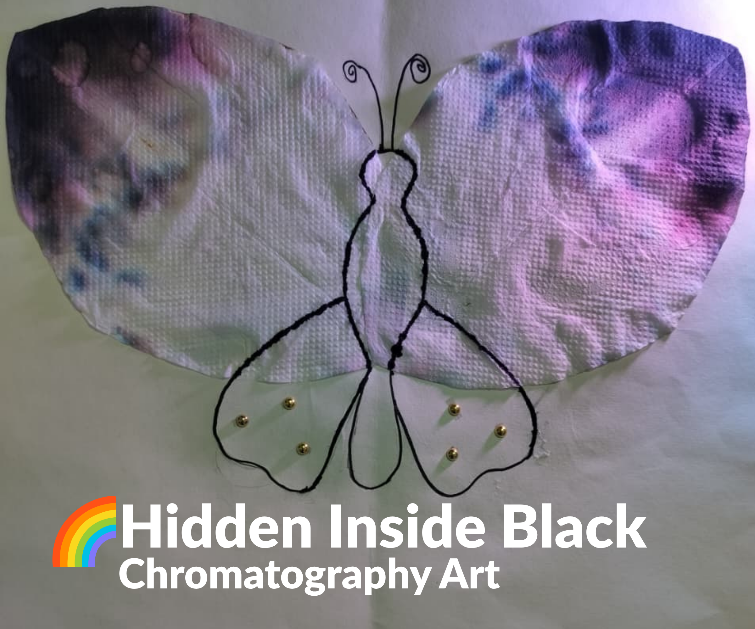 The Rainbow Hidden Inside Black – a Chromatography Butterfly
